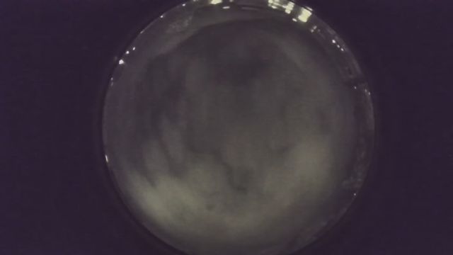 AMS225 meteor