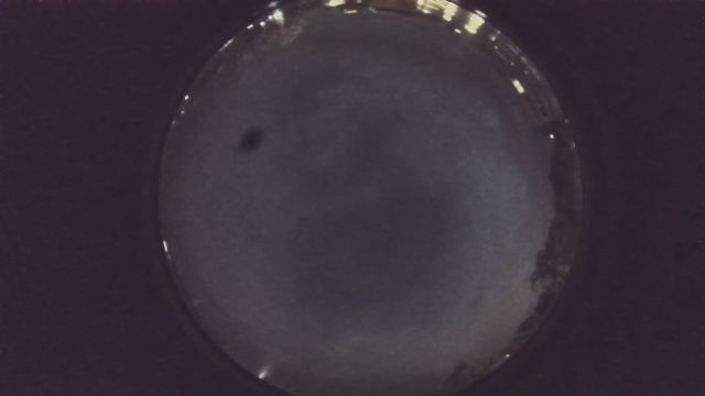 AMS225 meteor