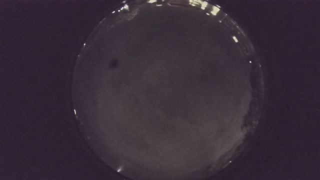 AMS225 meteor