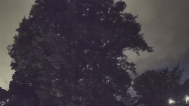 AMS233 meteor