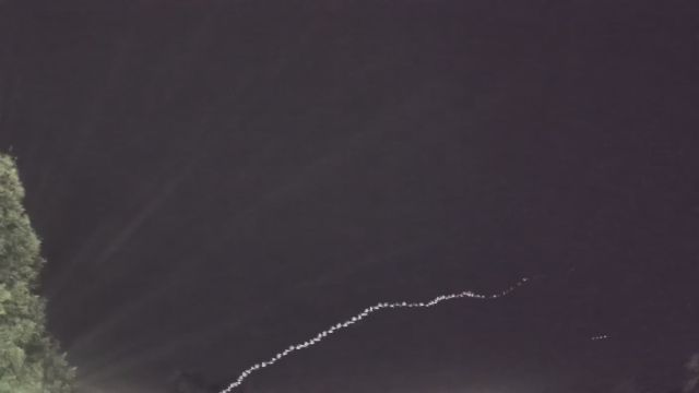 AMS235 meteor