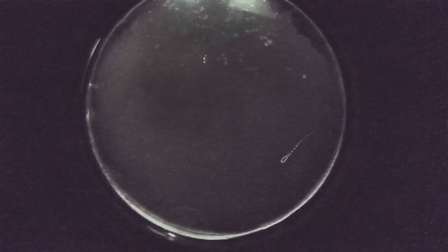 AMS235 meteor