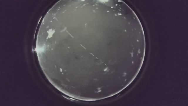 AMS235 meteor