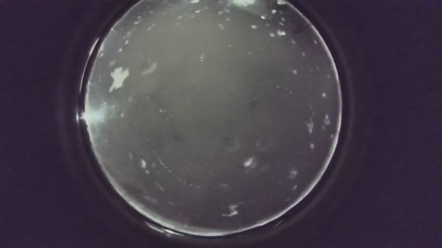 AMS235 meteor