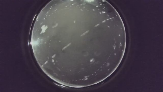 AMS235 meteor