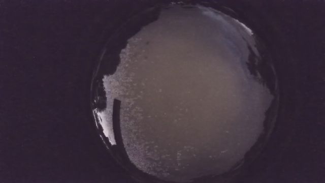 AMS238 meteor
