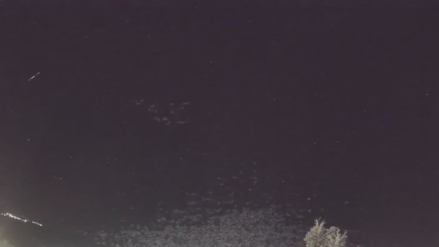 AMS241 meteor