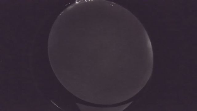 AMS241 meteor