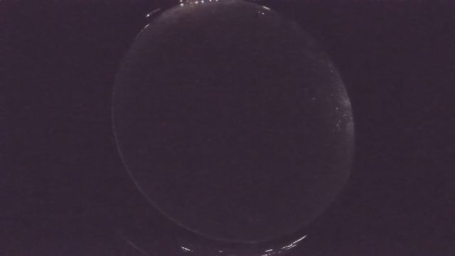 AMS241 meteor