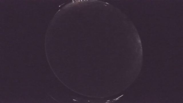 AMS241 meteor