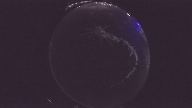 AMS241 meteor