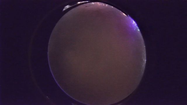 AMS241 meteor