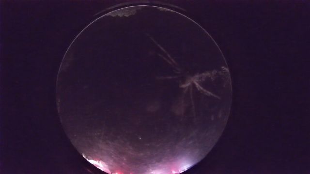 AMS242 meteor
