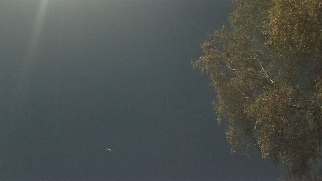 AMS249 meteor