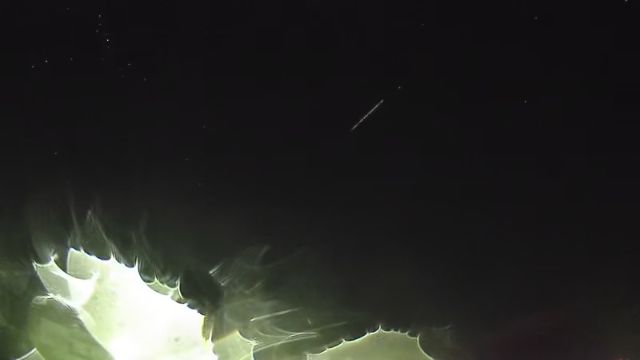 AMS254 meteor