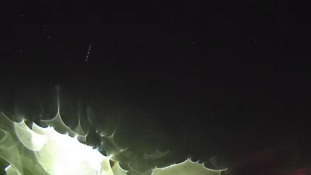AMS254 meteor