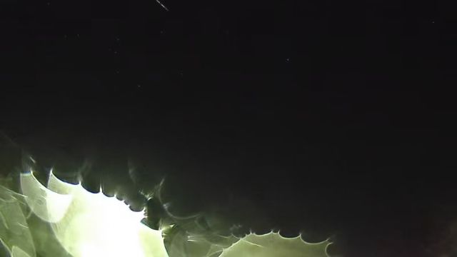 AMS254 meteor