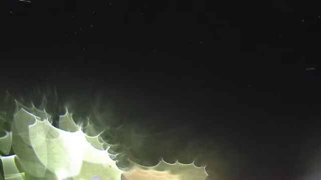 AMS254 meteor