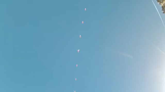 AMS256 meteor