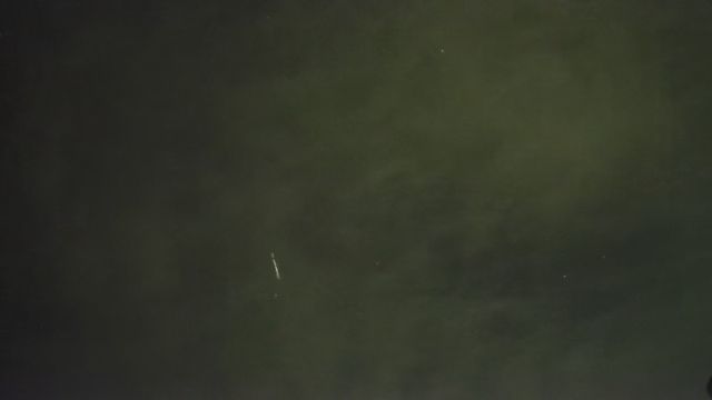 AMS259 meteor