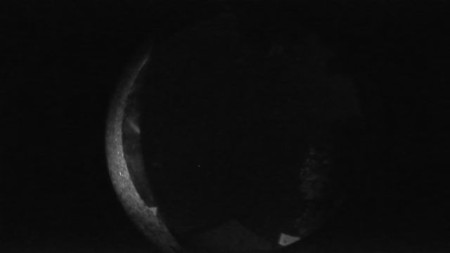 AMS260 meteor