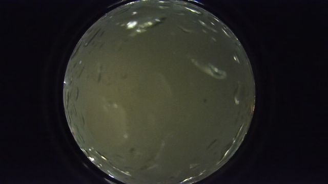 AMS261 meteor