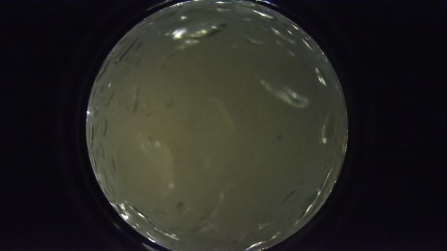AMS261 meteor