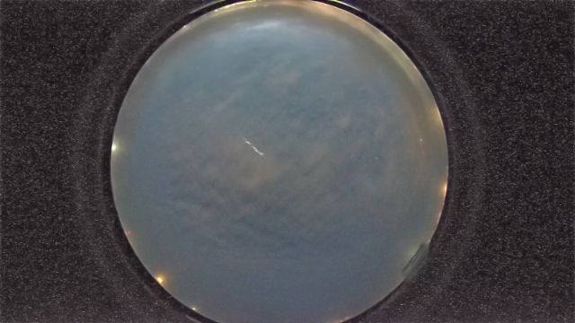 AMS261 meteor