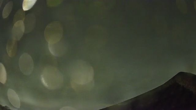 AMS264 meteor
