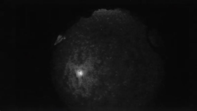 AMS265 meteor