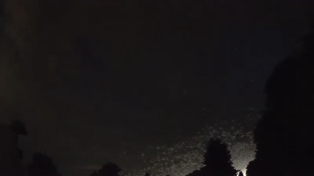 AMS270 meteor