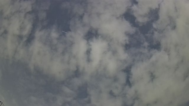 AMS309 meteor