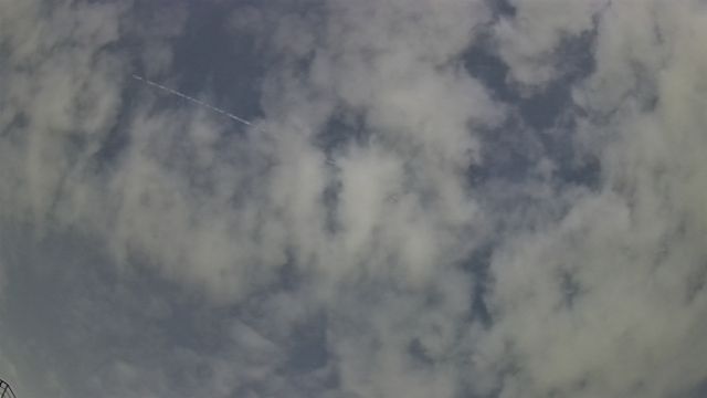 AMS309 meteor