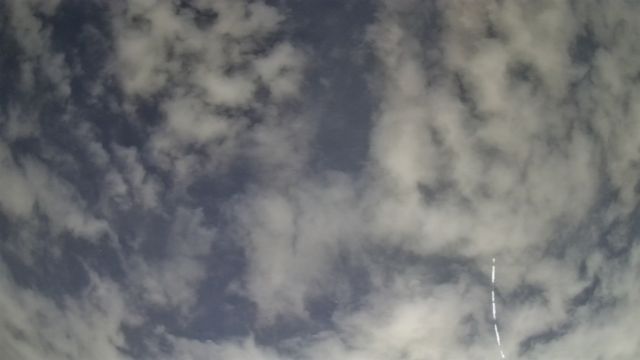 AMS309 meteor