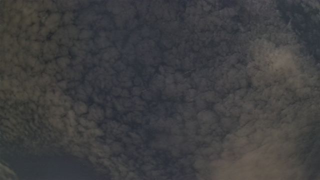 AMS309 meteor