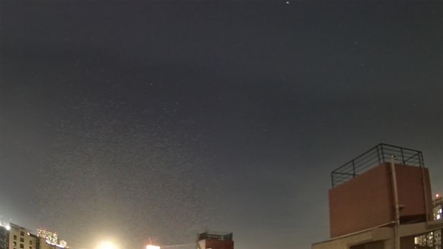 AMS309 meteor