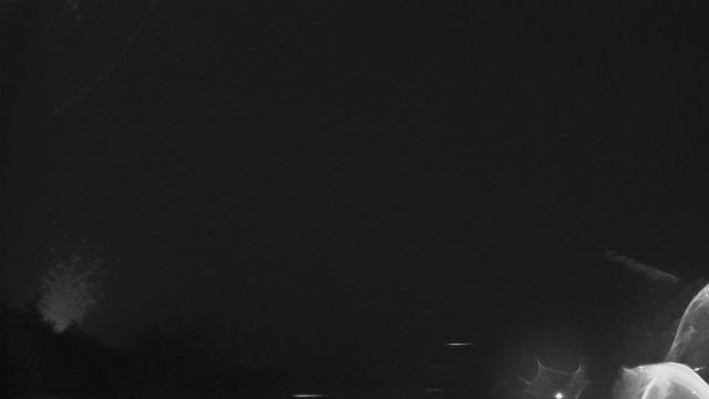 AMS319 meteor