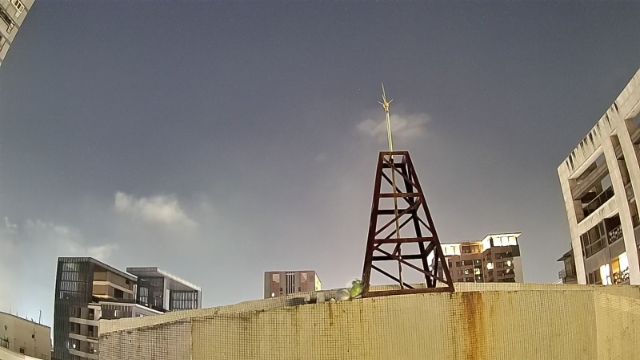 AMS329 meteor