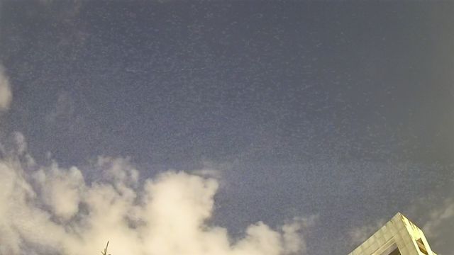 AMS329 meteor