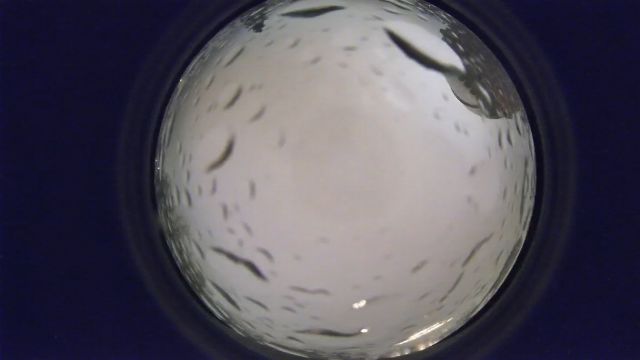 AMS33 meteor