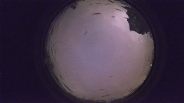 AMS33 meteor