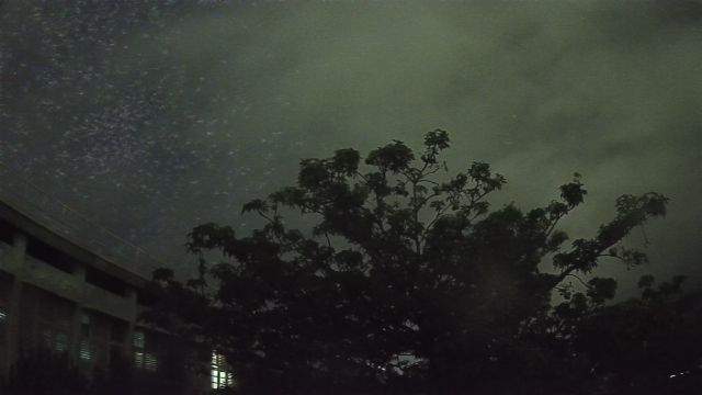 AMS338 meteor
