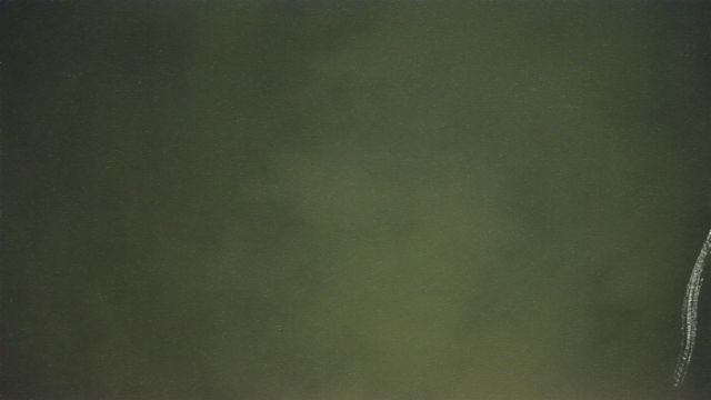 AMS338 meteor