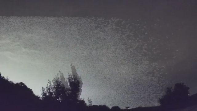 AMS53 meteor