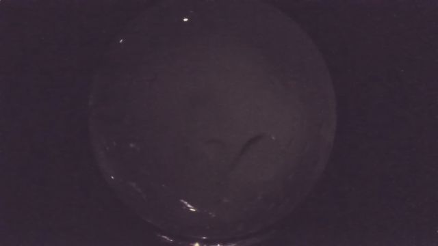 AMS57 meteor