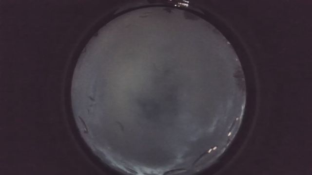 AMS58 meteor