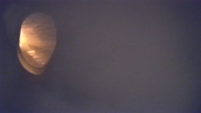 AMS58 meteor