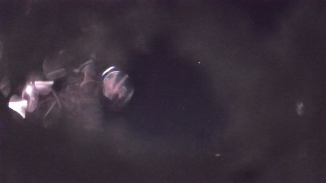AMS84 meteor