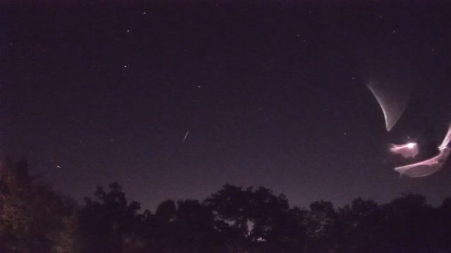 AMS89 meteor