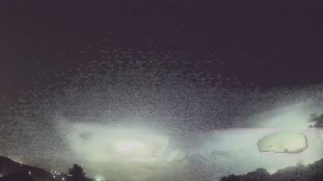 AMS90 meteor
